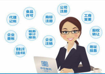 泰安企業(yè)服務(wù)指南 免費(fèi)注冊與專業(yè)財(cái)稅代辦全解析